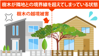 樹木が隣地との境界線を超えてしまっている状態