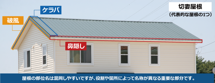 å±æ ¹ã®é¨ä½åã¯æ··åããããã§ãããå½¹å²ãç®æã«ãã£ã¦åç§°ãç°ãªãéè¦ãªé¨åã§ãã 