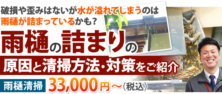 雨樋掃除は業者に頼める？雨樋詰まり対策と清掃方法もご紹介