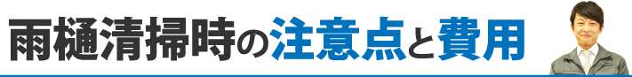 雨樋清掃時の注意点と費用