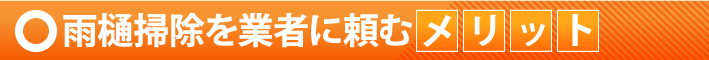 雨樋掃除を業者に頼むメリット