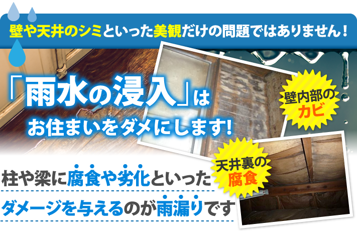 壁や天井のシミといった美観だけの問題ではありません！