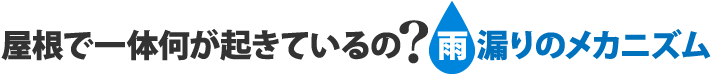 屋根で一体何が起きているの?雨漏りのメカニズム
