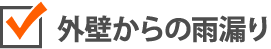 外壁からの雨漏り