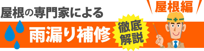 屋根の専門家による雨漏り補修