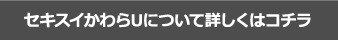 セキスイかわらUについて詳しくはコチラ