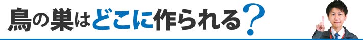 鳥の巣はどこに作られる？