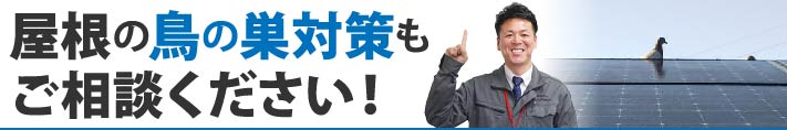 屋根の鳥の巣対策もご相談ください！