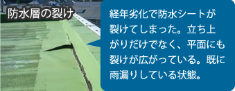 【防水層の裂け】経年劣化で防水シートが避けてしまった。立ち上がりだけでなく平面にも裂けが広がっている。すでに雨漏りしている状態