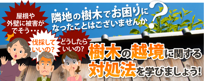 ご近所さんの樹木が越境しているときの対処法をお教えします