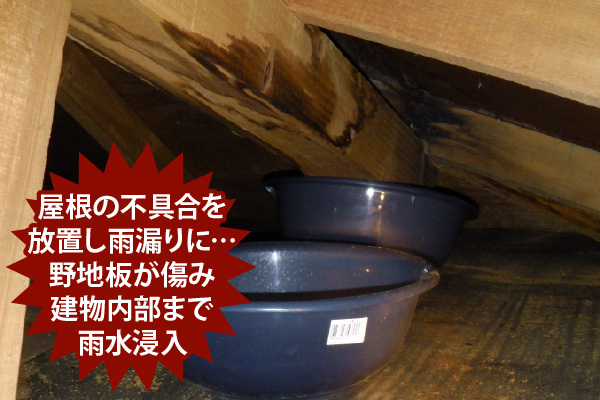 屋根の不具合を放置し雨漏りに…野地板が傷み建物内部まで雨水浸入