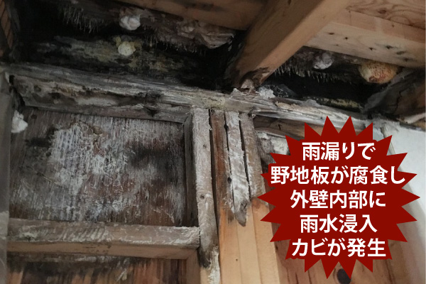 雨漏りで野地板が腐食し外壁内部に雨水浸入、カビが発生