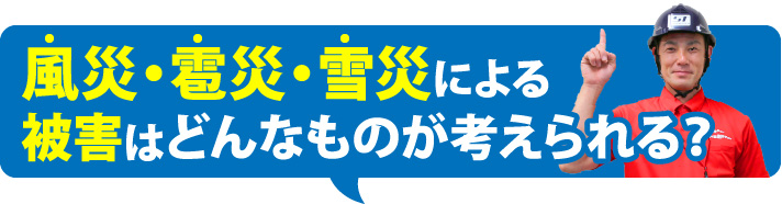 風災・雹災・雪災による被害はどんなものが考えられる？