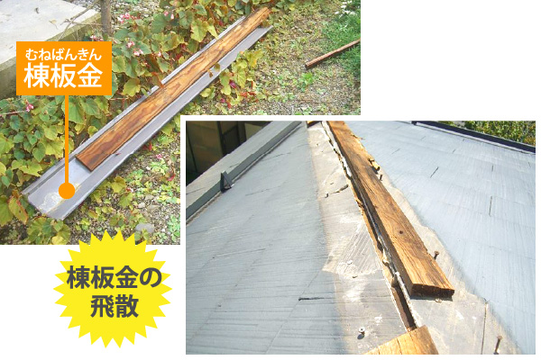 棟板金の飛散