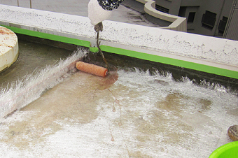 ローラーでガラスマットへ塗布