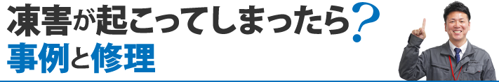 凍害が起こってしまったら事例と修理