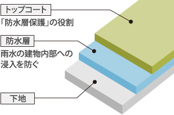 トップコート・防水層・下地