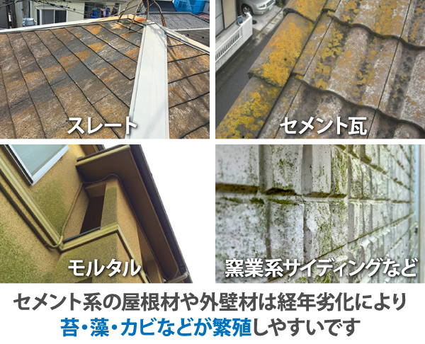 セメント系の屋根材や外壁材は経年劣化により苔・藻・カビなどが繁殖しやすいです