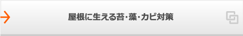 屋根に映える苔・藻・カビ対策