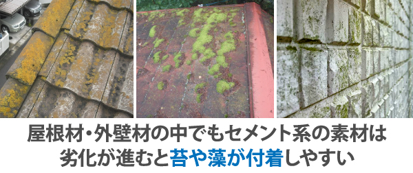 屋根材・外壁材の中でもセメント系の素材は劣化が進むと苔や藻が付着しやすい