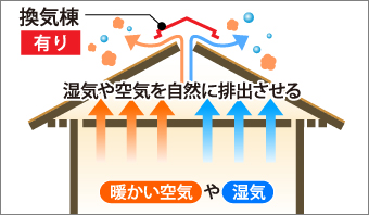 換気棟有り