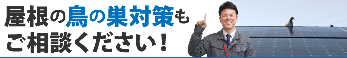 屋根の鳥の巣対策もご相談ください！