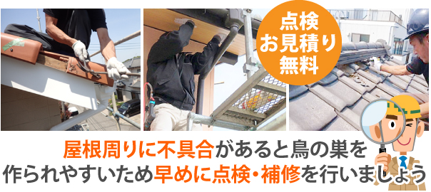 屋根周りに不具合があると鳥の巣を作られやすいため早めに点検・補修を行いましょう