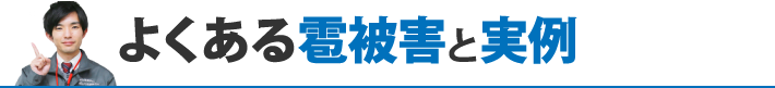 良くある雹被害の実例