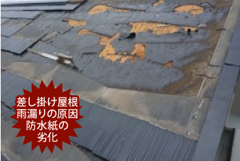 差し掛け屋根雨漏りの原因防水紙の劣化