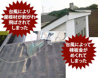 屋根にのぼるのは危険です！
