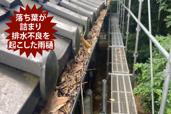 落ち葉が詰まり排水不良を起こした雨樋