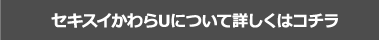 セキスイかわらUについて詳しくはコチラ