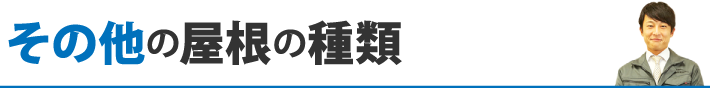 その他の屋根の種類