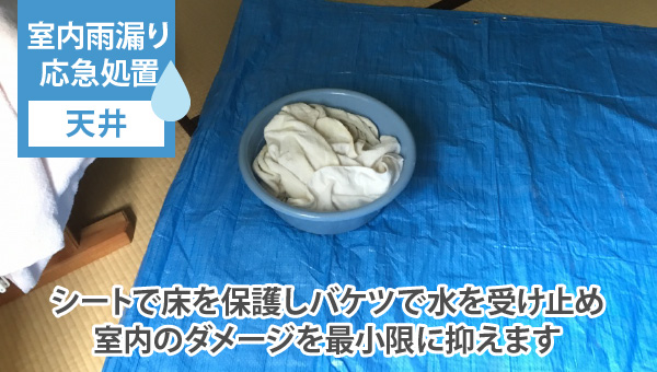 シートで床を保護しバケツで水を受け止め、室内のダメージを最小限に抑えます