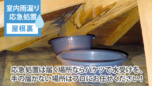 応急処置は届く場所ならバケツで水受けを、手の届かない場所はプロにお任せください！