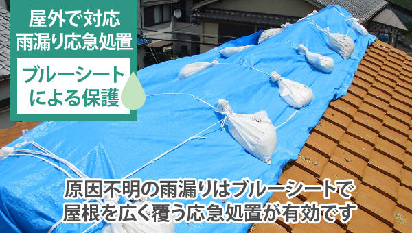 原因不明の雨漏りはブルーシートで屋根を広く覆う応急処置が有効です