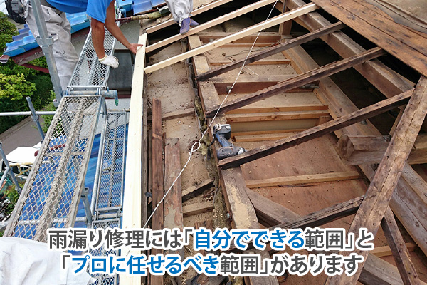 雨漏り修理には「自分でできる範囲」と「プロに任せるべき範囲」があります