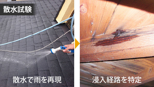 散水試験