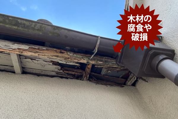 木材の腐食や破損
