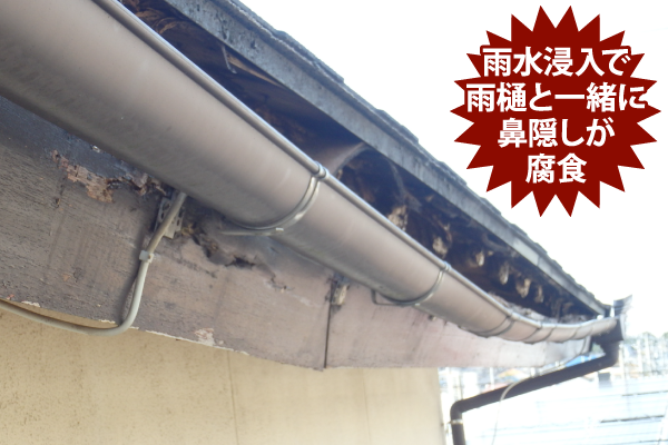 雨水浸入で雨樋と一緒に鼻隠しが腐食