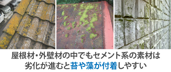 屋根材・外壁材の中でもセメント系の素材は劣化が進むと苔や藻が付着しやすい