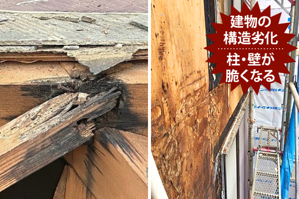 建物の
構造劣化