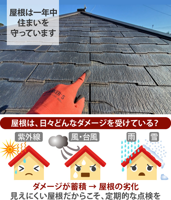 屋根は一年中住まいを守っています