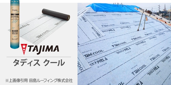 タディスクール実物