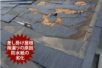 差し掛け屋根雨漏りの原因防水紙の劣化