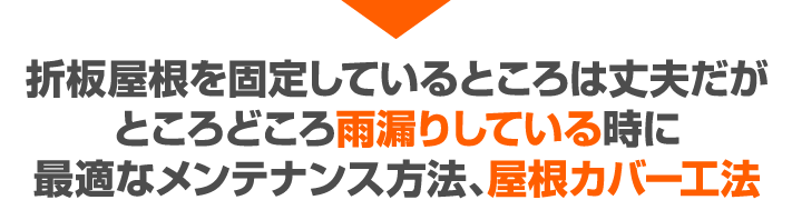 最適なメンテナンス方法、屋根カバー工法