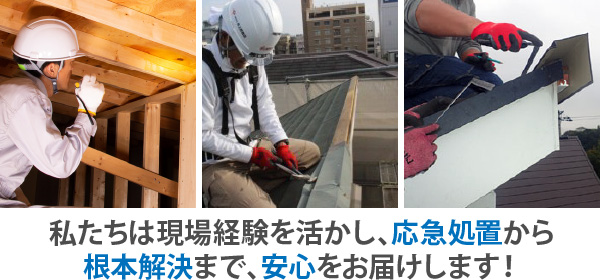 私たちは現場経験を活かし、応急処置から根本解決まで、安心をお届けします！