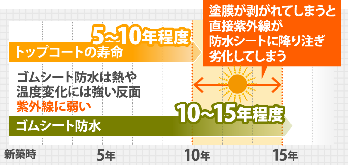 塗膜が剥がれてしまうと直接紫外線が防水シートに降り注ぎ劣化してしまう