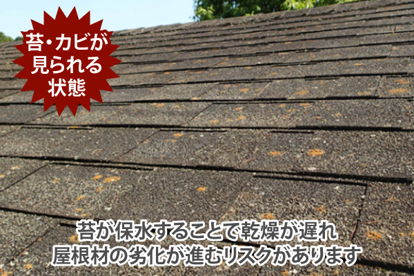 苔が保水することで乾燥が遅れ屋根材の劣化が進むリスクがあります