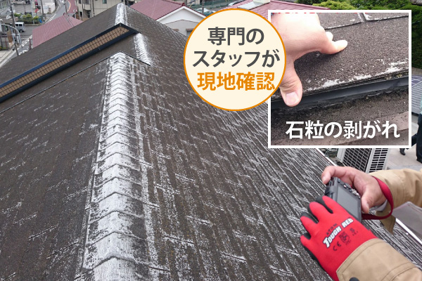 専門のスタッフが現地確認
